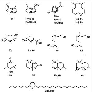 Pheromones Colognes - Alter Ego Pheromones: A Commentary Of The Alter Ego Pheromone